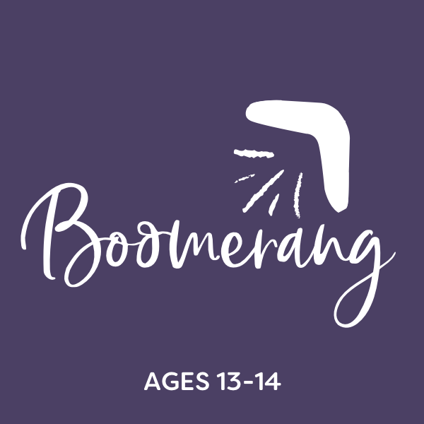 Boomerang Sample